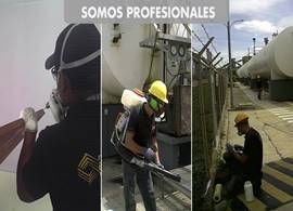 Banner de servicios de fumigación y control de plagas en Caracas y Miranda