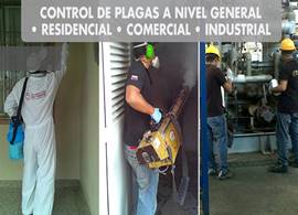Técnico de Fumigaciones Bay-Were en servicio de control de plagas en Caracas