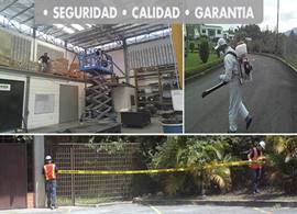 Fumigación segura para su hogar o negocio en Distrito Capital, control de plagas garantizado