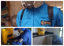 Personal técnico especializado en control de plagas, Fumigaciones Bay-Were Armenia y Pereira