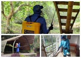 Fumigación por aspersión para control de insectos en Armenia y Pereira